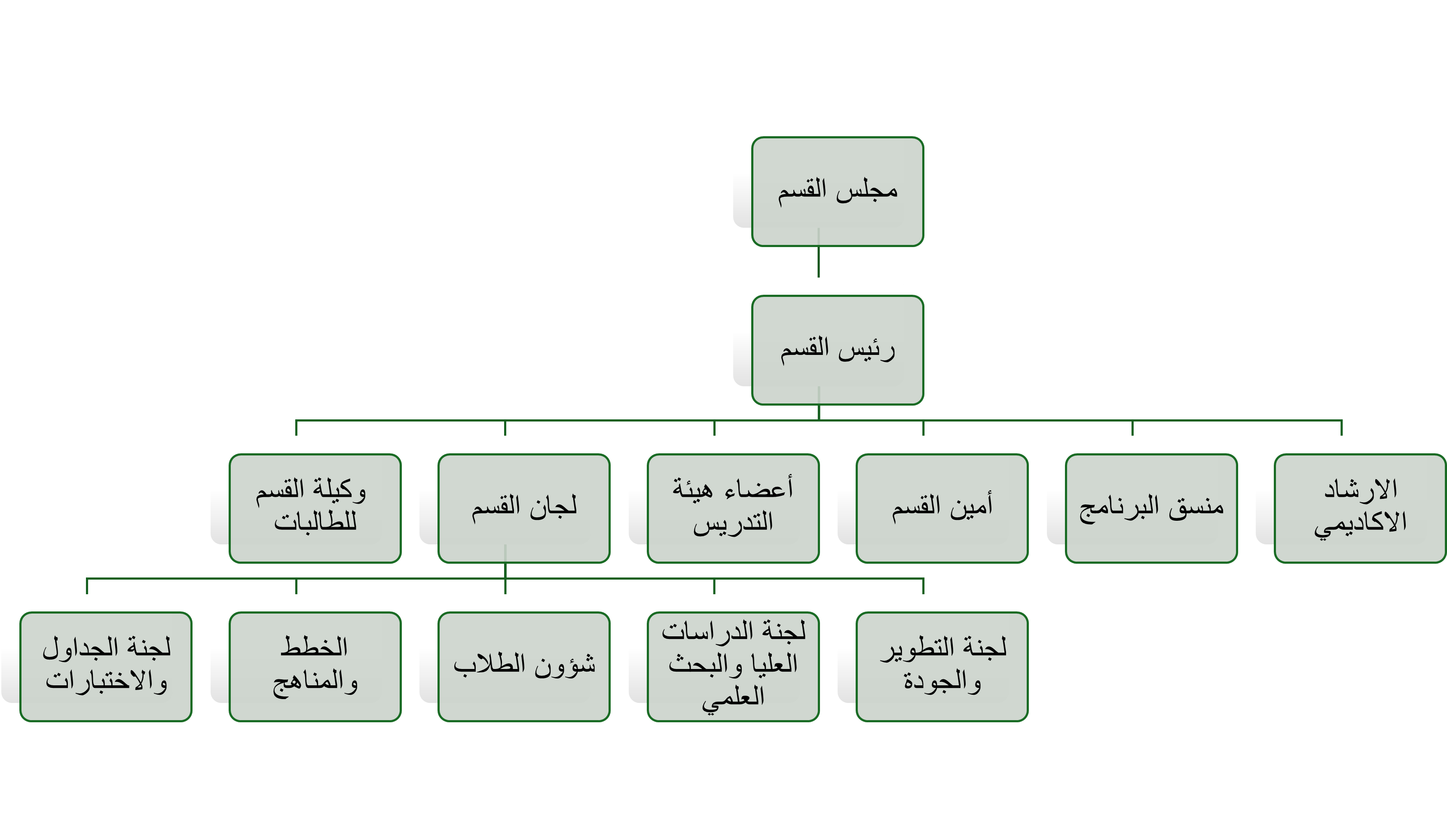 الهيكل التنظيمي لقسم ادارة الاعمال