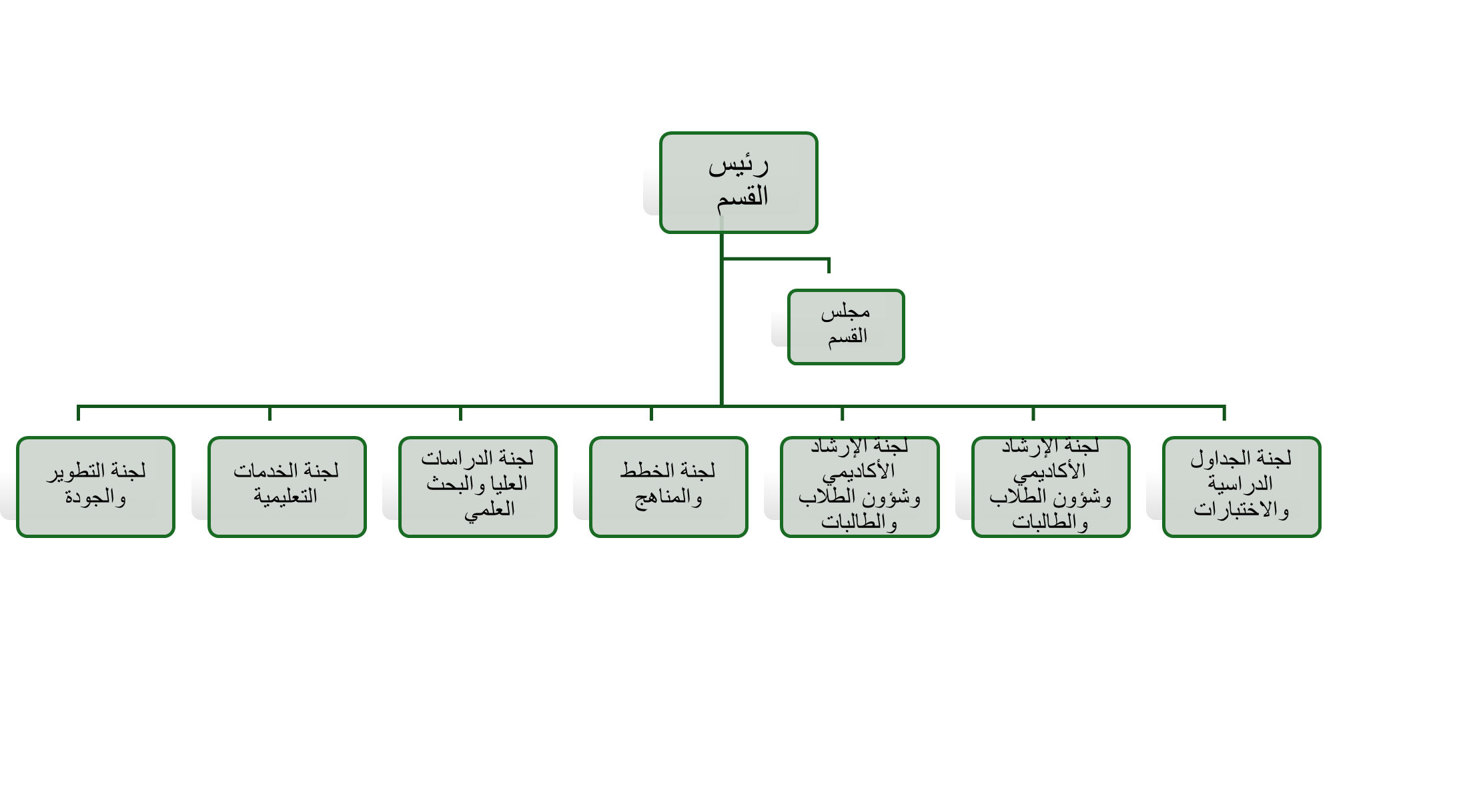 الهيكل التنظيمي لقسم الإدارة المالية